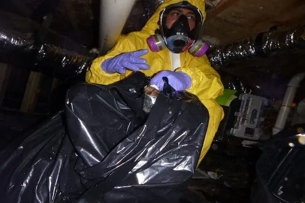 Sewage and black water cleanup crew in a Marietta, GA home